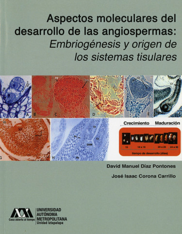 Aspectos moleculares del desarrollo de las angiospermas