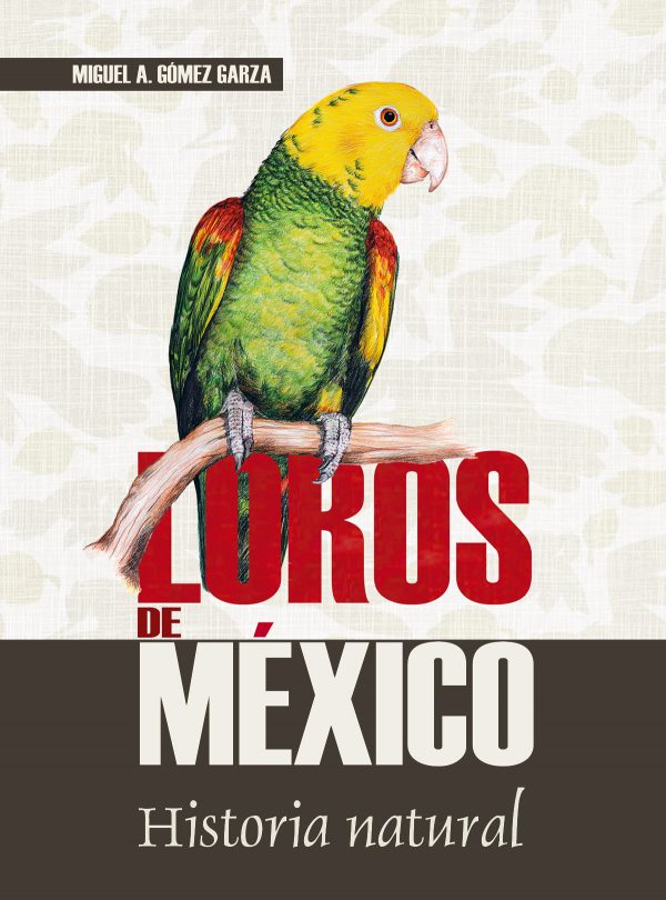 Loros de México