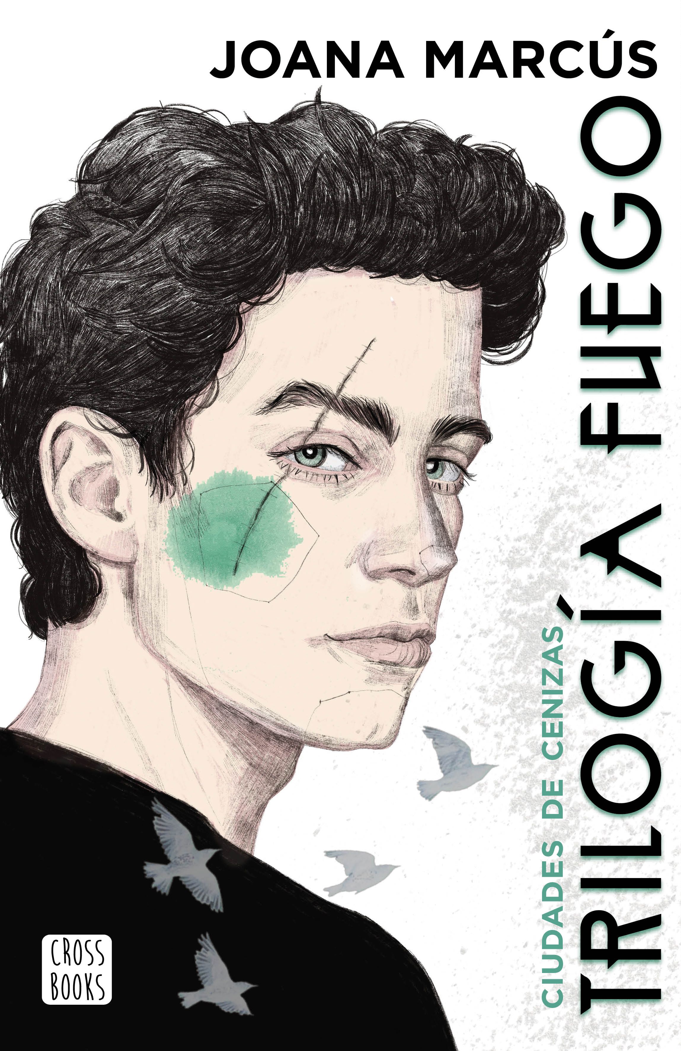 Trilogía de fuego 2. Ciudades de cenizas