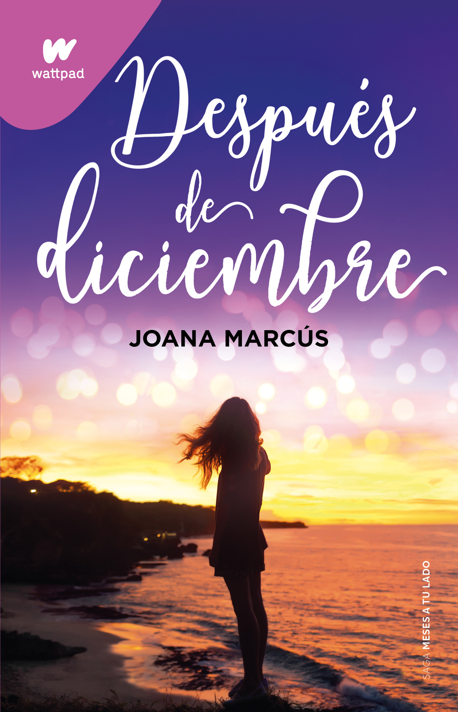 Después de diciembre (Meses a tu lado 2)