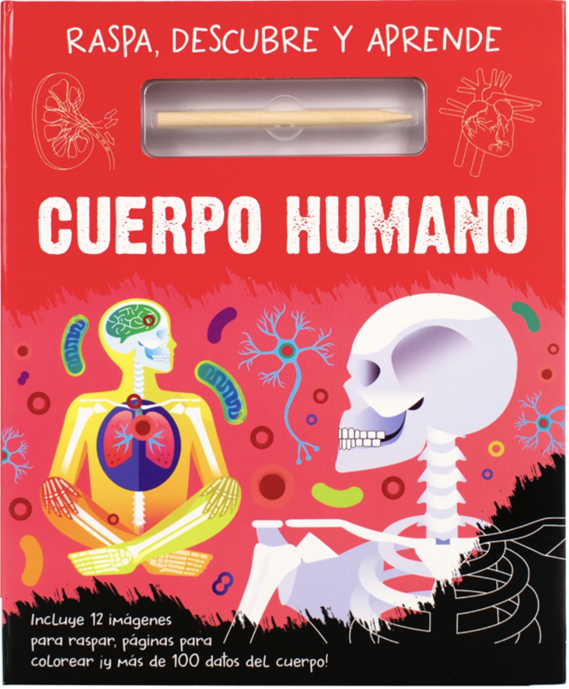 Raspa, descubre y aprende: Cuerpo Humano