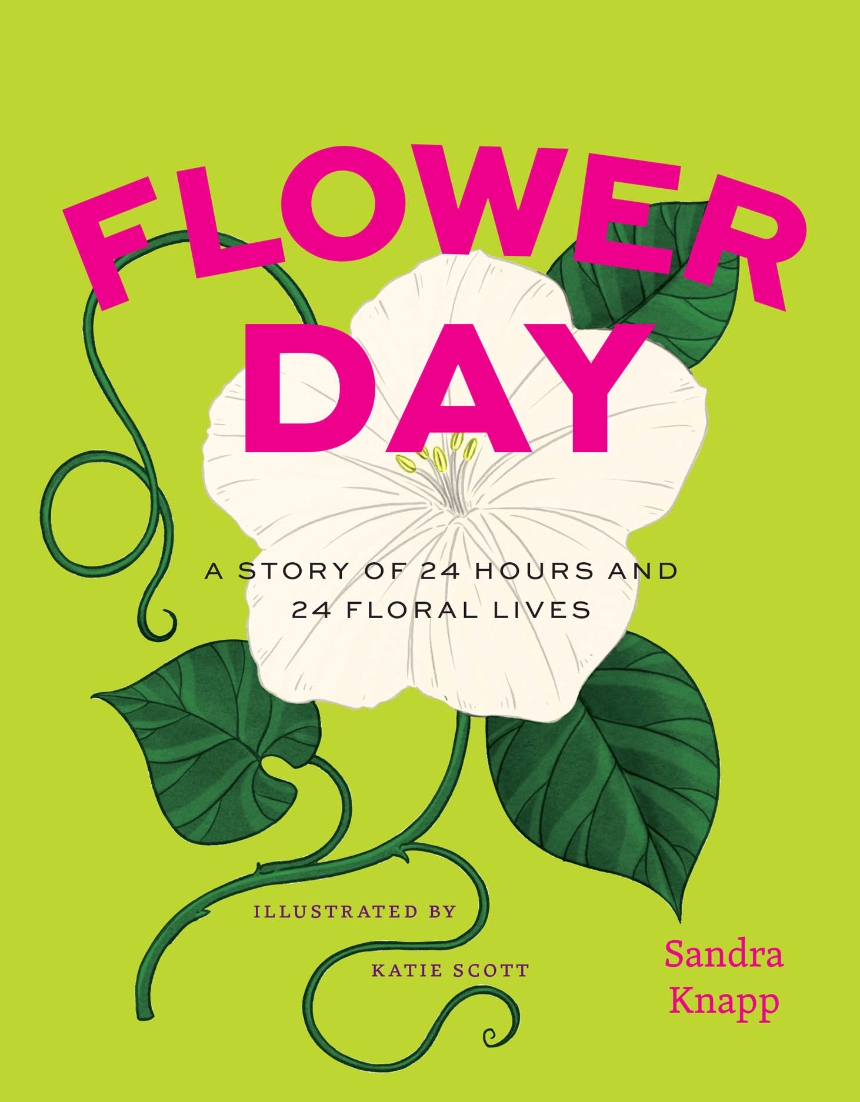 Flower day. A story of 24 hours and 24 floral lives