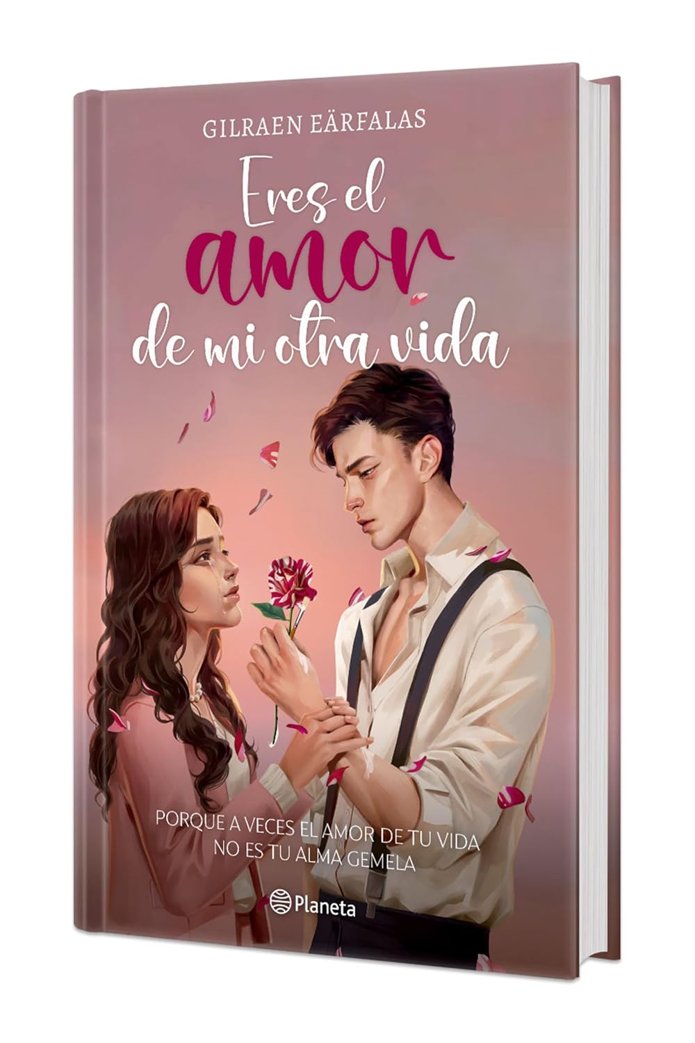 Eres el amor de mi otra vida