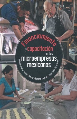 Financiamiento y capacitación en las microempresas mexicanas